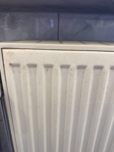 Heizkörper mit sichtbaren Ablagerungen und leichten Verfärbungen.