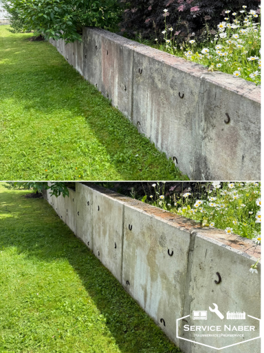 Zwei Abschnitte einer Betonmauer auf einem gepflegten Rasen, umgeben von Pflanzen. Hochdruckreinigung Amberg