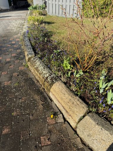 Steinmauer mit Blumen und Gras entlang des Gehwegs in einem Garten.