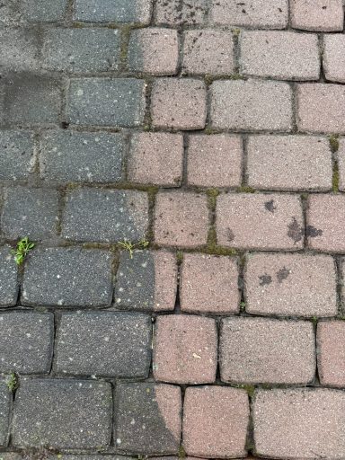 Gepflasterter Weg mit grauen und roten Steinen, teils von Gras überwuchert.